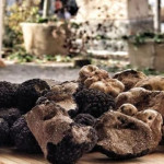 Domenica 10 novembre, Tartufeste a Camugnano (dichiarata città del tartufo) e Castel di Casio