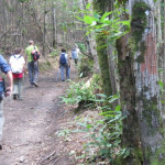 Appennino. La Via degli Dei diventa “destinazione sostenibile”