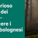 Il misterioso mondo dei funghi – Conoscere i Parchi bolognesi. Bacino Brasimone sabato 17 ottobre